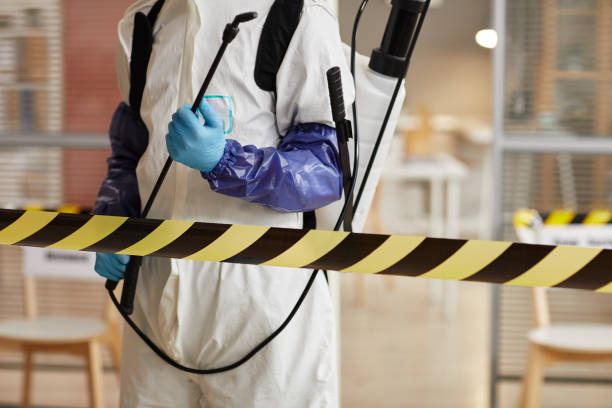 Professional Hoarding Cleanup technician working in Pleasant Hill, TX
