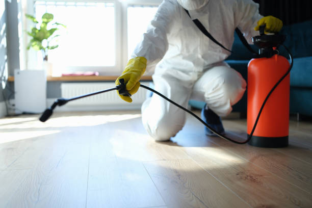 Reliable Hoarding Cleanup contractor in Pleasant Hill, TX by Dulley Family Biohazard Services